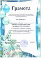 Новогоднее оформление фасадов зданий и территорий